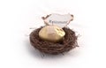 Nest Egg on Fire Royalty Free Stock Photo