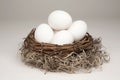 Nest Egg generic Royalty Free Stock Photo