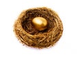 A nest egg with a golden egg isolated on white Royalty Free Stock Photo