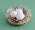 Nest Egg with Money Royalty Free Stock Photo