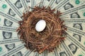 Nest Egg and Money Royalty Free Stock Photo