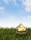 Nest Egg Retirement Royalty Free Stock Photo