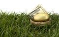 Nest Egg Retirement Royalty Free Stock Photo