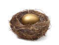 NEST EGG SAVING ESTATE RETIREMENT FUND FINANCIAL WEALTH PLANNING Royalty Free Stock Photo