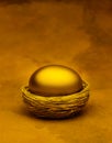 Nest Egg Superannuation Savings Royalty Free Stock Photo