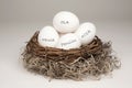 Nest Egg White Royalty Free Stock Photo