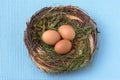 Nest within eggs Royalty Free Stock Photo