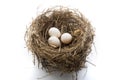Nest and eggs Royalty Free Stock Photo