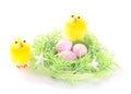 Nest with eggs and chicks Royalty Free Stock Photo