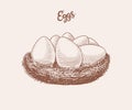 Nest of eggs. Farm product. Engraved hand drawn retro vintage sketch. Woodcut style. Vector illustration for menu or Royalty Free Stock Photo