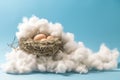 nest with eggs nestled atop a white, cottonwool cloud on blue backdrop Royalty Free Stock Photo