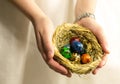 Nest with eggs painted in different colors lie in the palm of the hand