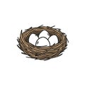 Nest with Eggs in a Simple, Natural Style Royalty Free Stock Photo