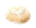 Nest with eggs on white background Royalty Free Stock Photo