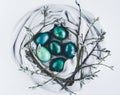 Nest of fabric with Easter eggs in turquoise and gold decorated with pussy willow on white. Royalty Free Stock Photo