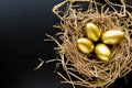 Nest Full Of Golden Eggs on black background. Financial success Royalty Free Stock Photo