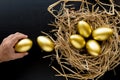 Nest Full Of Golden Eggs, Man holding a golden egg on black back Royalty Free Stock Photo