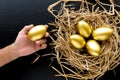 Nest Full Of Golden Eggs, Man holding a golden egg on black back Royalty Free Stock Photo