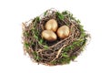 Nest with golden eggs