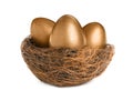 Nest with golden eggs isolated on white. Pension concept Royalty Free Stock Photo