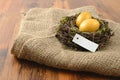 Nest with golden eggs with lable copy space on wooden table back