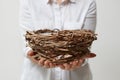 Nest in the hands of a girl in a white shirt on a light background Royalty Free Stock Photo