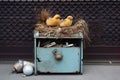 nest with hatching chicks in a vintage mailbox