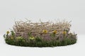 Nest isolated on white background