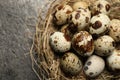 Nest with many speckled quail eggs on dark grey table, closeup. Space for text Royalty Free Stock Photo