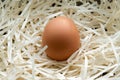 Nest with one alone egg Royalty Free Stock Photo