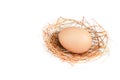 A nest with one egg isolated on white Royalty Free Stock Photo