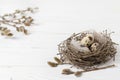 Nest, quail eggs, willow on a rustic white wood