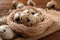 Nest and quail eggs on wooden table, closeup Royalty Free Stock Photo