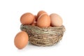 Nest with raw brown chicken eggs on white background Royalty Free Stock Photo