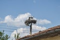 Stork family nest Royalty Free Stock Photo