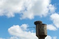 Nest stork on the old water tower. Against the sky. Royalty Free Stock Photo