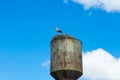 Nest stork on the old water tower. Against the sky. Royalty Free Stock Photo