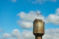 Nest stork on the old water tower. Against the sky. Royalty Free Stock Photo