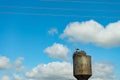 Nest stork on the old water tower. Against the sky. Royalty Free Stock Photo