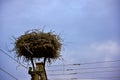 Nest of stork Royalty Free Stock Photo