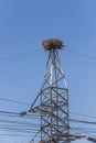 A nest of storks on the top of electric tower
