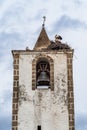 Nest of storks on top of old stone bell tower with iron cross at Herreruela, Extremadura in Spain