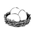 Nest with three eggs. Spring hand drawn illustration. Doodles Royalty Free Stock Photo