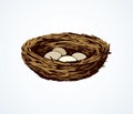 Nest. Vector drawing