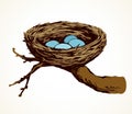 Nest. Vector drawing