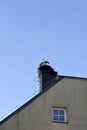 nest with storks on the roof of the house Royalty Free Stock Photo