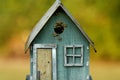 Nest of yellow jacket bees