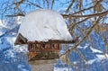 Nestbox bird house