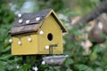 Nestbox on a tree. Close up background