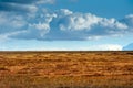 nested sheaves with a pattern of lines after harvest in a buckwheat field, sky on the horizon Royalty Free Stock Photo